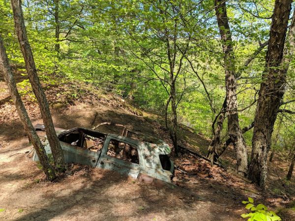 Tuckahoe State Park Youth Group Camping Area