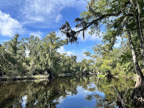 River Junction Campground