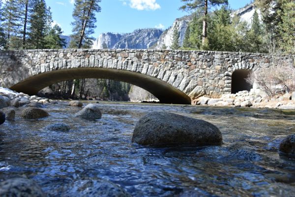 Upper Pines Organizational Campground