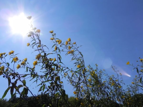 Rice Lake Park Public Campground