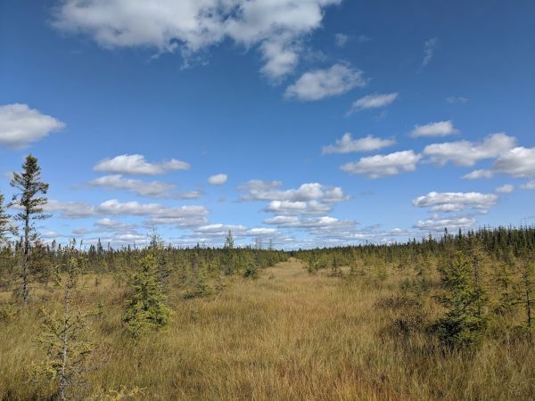 Big Bog State Recreation Area Campground