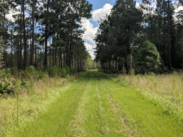 Colt Creek State Park Main Campground
