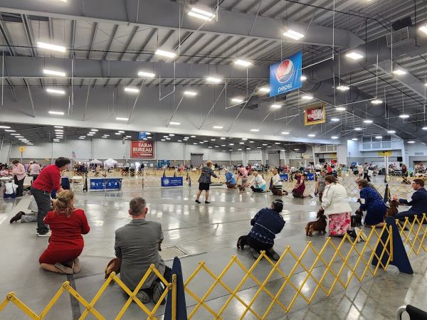 North Campground - Meadow Event Park