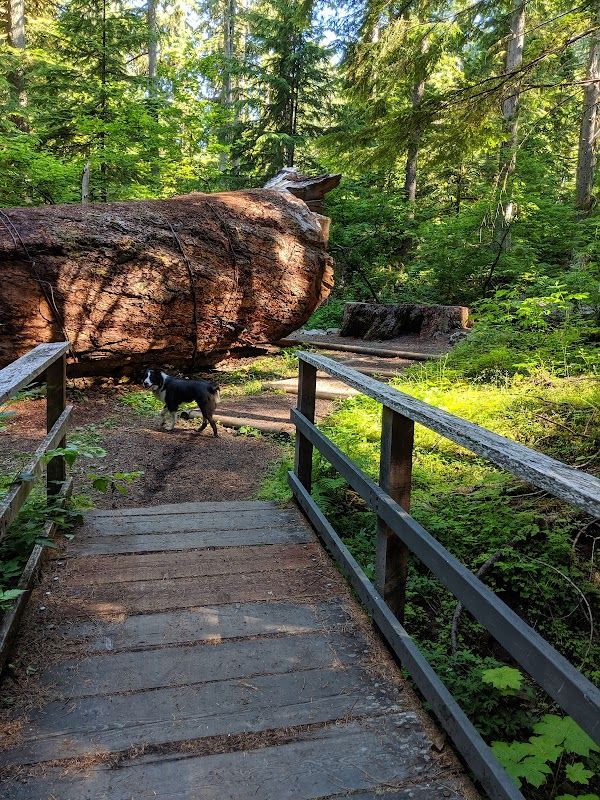 The Dalles Campground