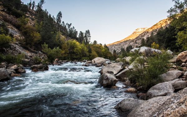 Chico Flat Dispersed Campground