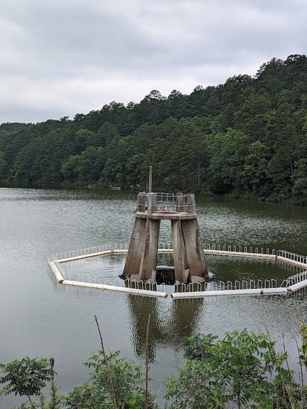 Cedar Lake Shady Lane