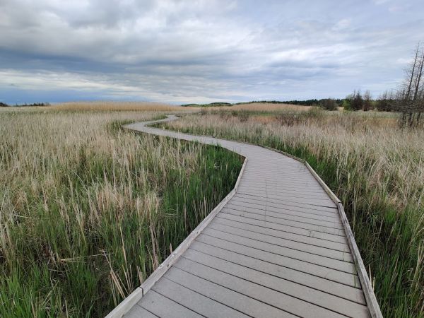 Presqu'ile Park - High Bluff Campground