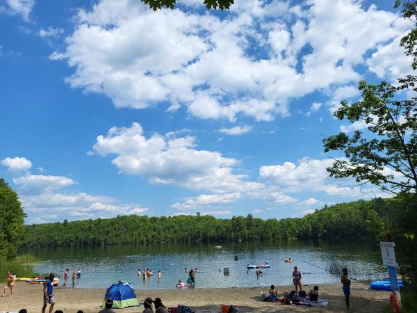 Sharbot Lake - Beach Front Campground