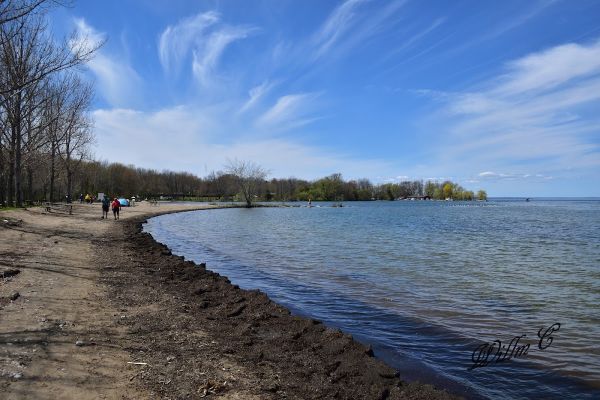 Sibbald Point - Meadowlands Campground