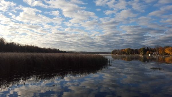 Emily Provincial Park - Circle Campground