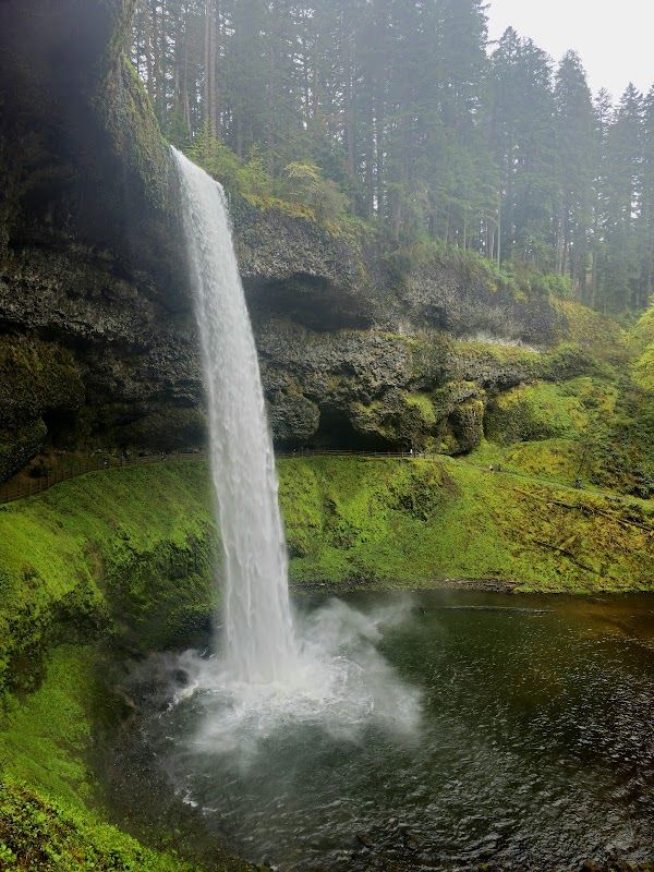 Silver Falls Park Campground