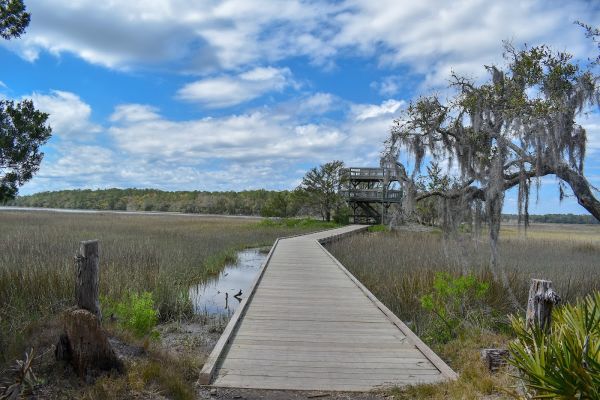 Skidaway Island State Park Campground