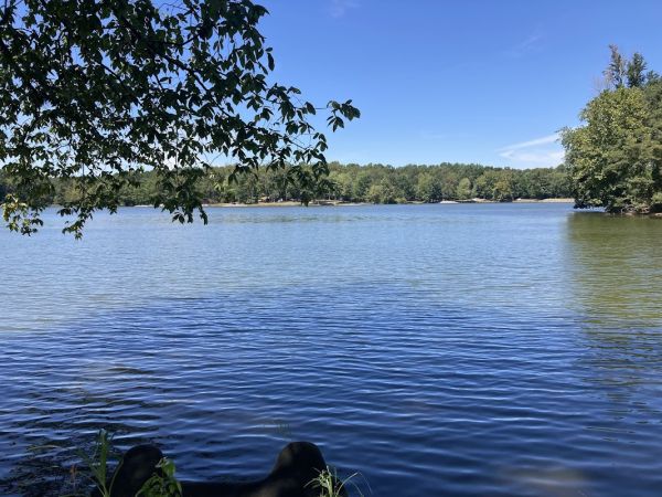 Lake Mauzy West - FREE