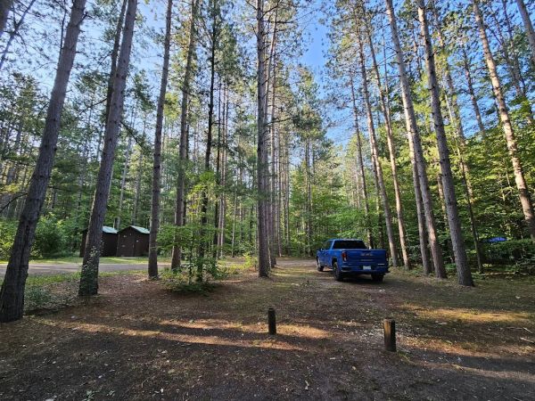 Baxter Bridge State Forest Campground