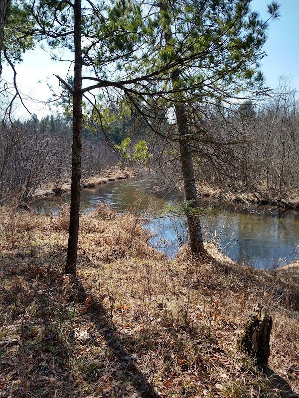Hopkins Creek Equestrian State Forest Campground & Trail Camp