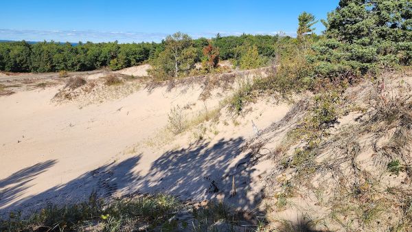 Wilderness State Park Pines Campground