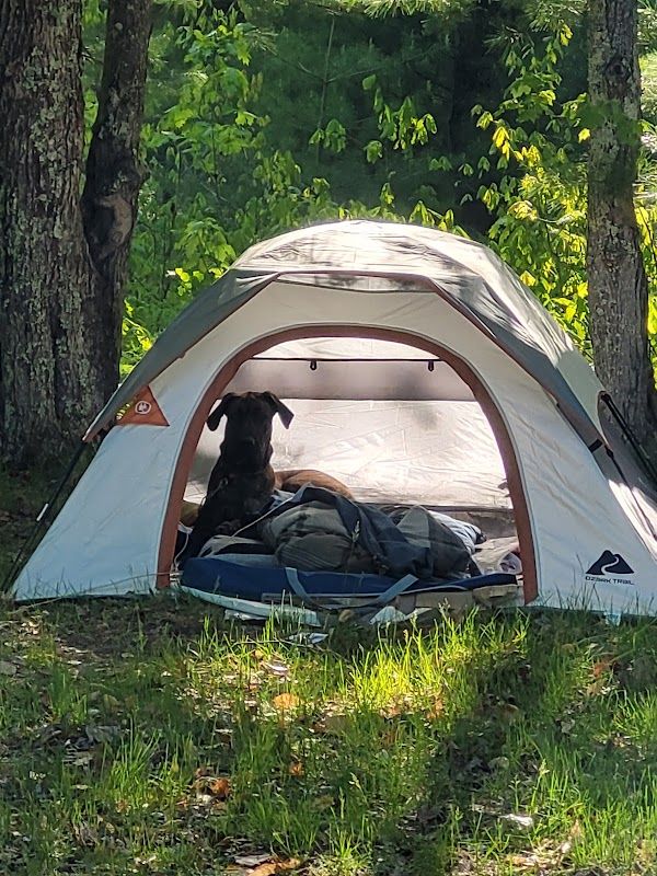 Lake Dubonnet State Forest Campground