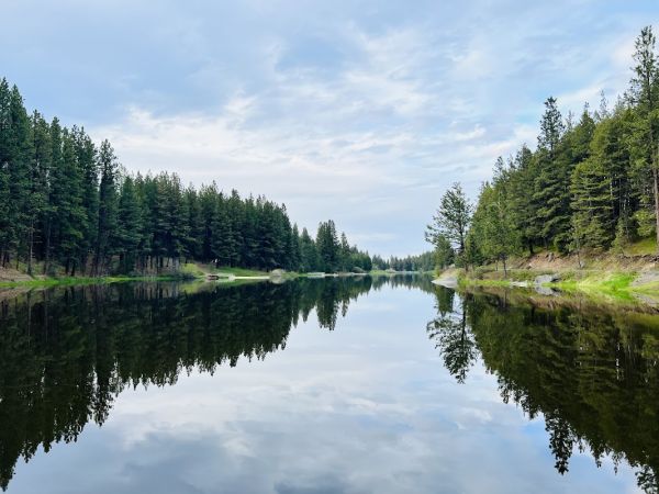 Winchester Lake Campground