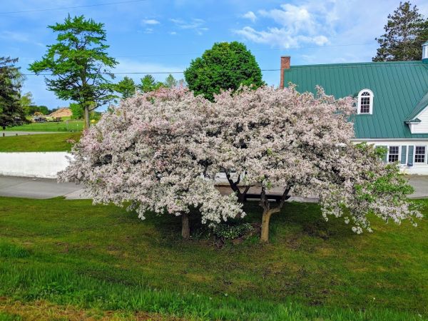 Paris Park Campground