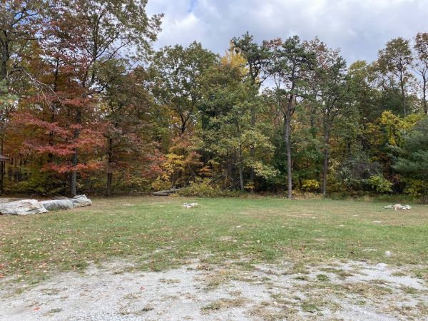 Piney Mountain Parking Lot - Michaux Campsite #2