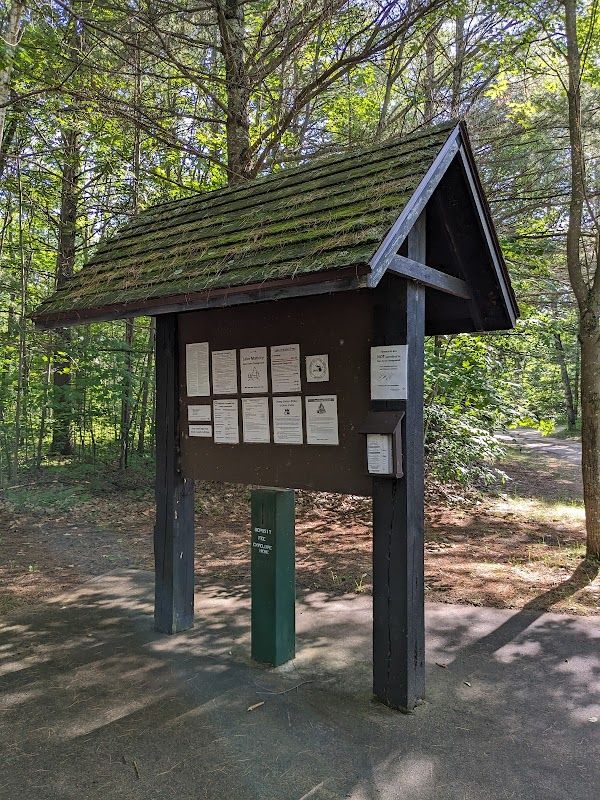 Lake Marjory State Forest Campground