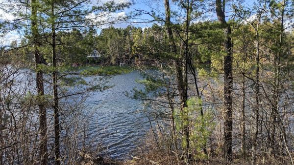 Little Wolf Lake State Forest Campground