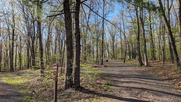 Moon Lake Camping Area