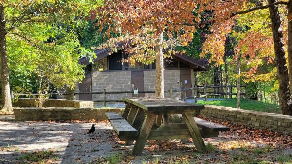 Chilhowee Group Campground (primitive)