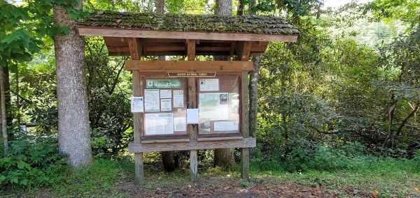 Burrells Ford Campground