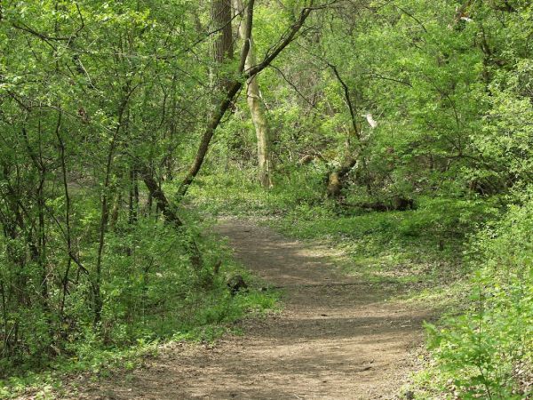 The Hollows Conservation Area campground