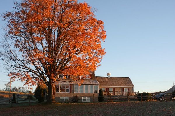 Notch View Inn & Campground