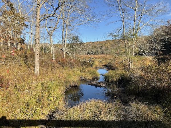 Steam Mill Camping Area