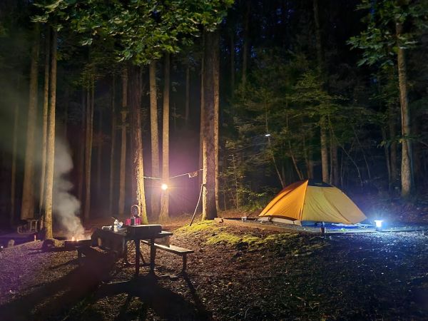 Cosby Campground