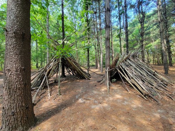 Allaire State Park Group Campground