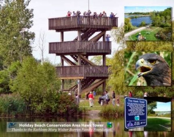 Holiday Beach Conservation Area  - Members Campground