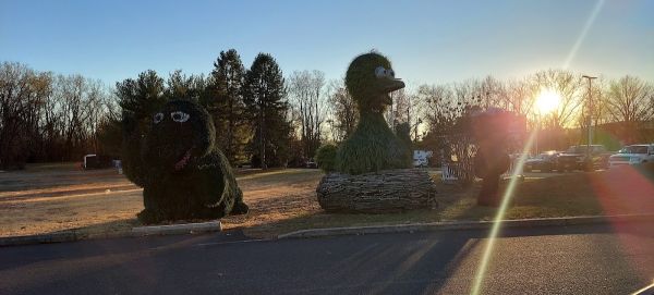 Picayune Strand Horseshoe Primitive Campground