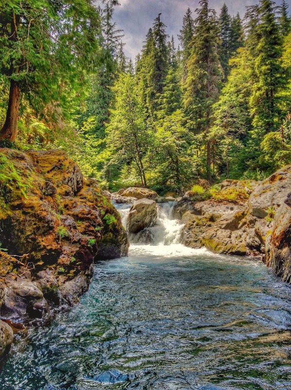 Sol Duc River Campsites