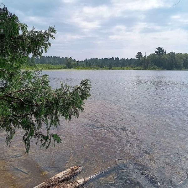Ross Lake State Forest Campground