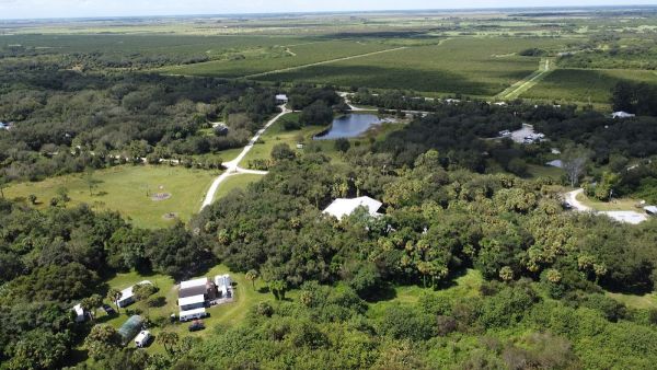 Palm Forest RV Park @ Vitambi Springs