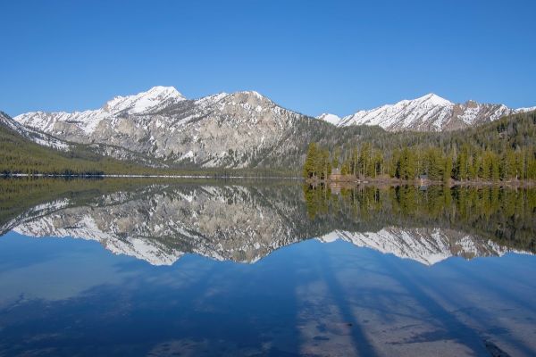 Pettit Lake Campground