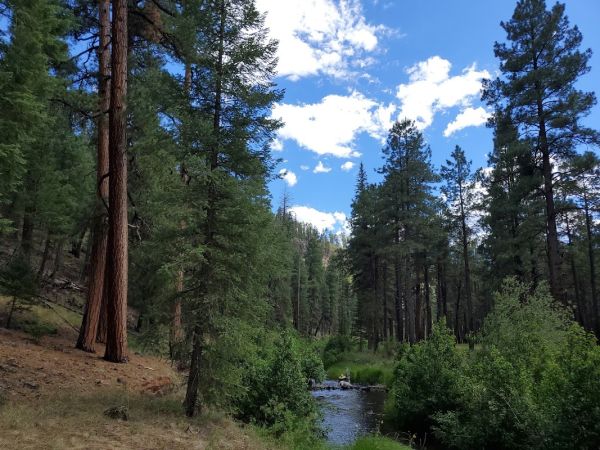 Horse Springs Campground & Group Ramada