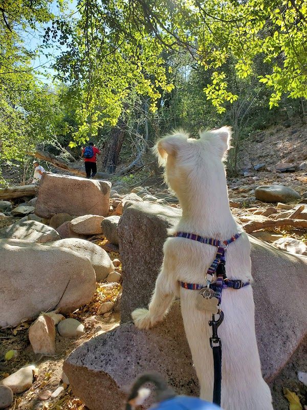 Haigler Canyon Campground