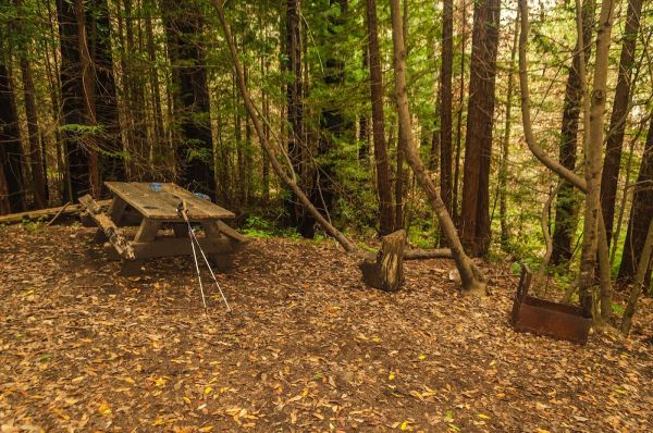 Lower Cruikshank Camp