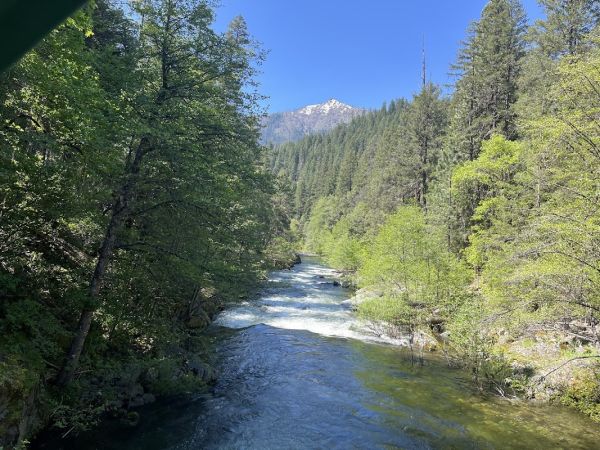 Mule Bridge Campground