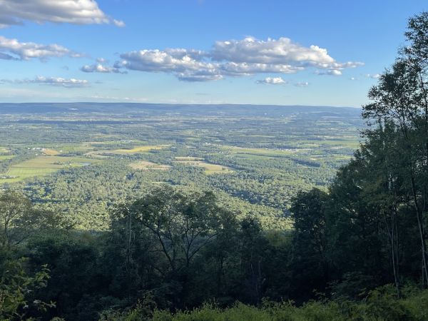 Tuscarora State Forest Campsite 026