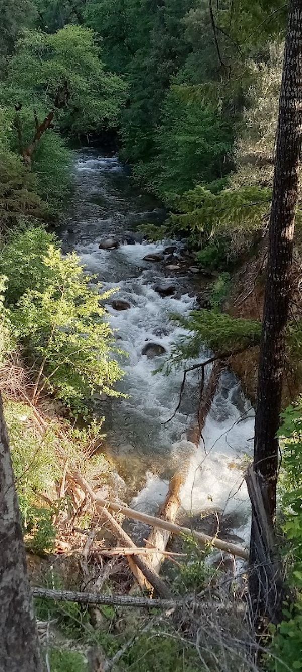 Sulphur Springs Camp