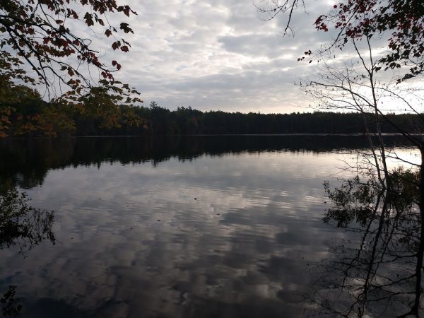 Swan Lake Campground