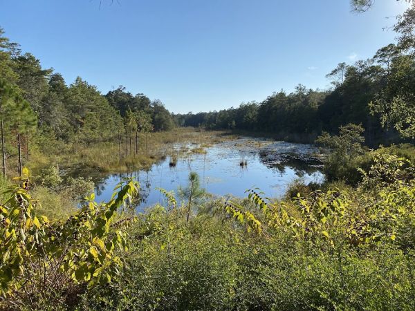 Fred Gannon Rocky Bayou State Park