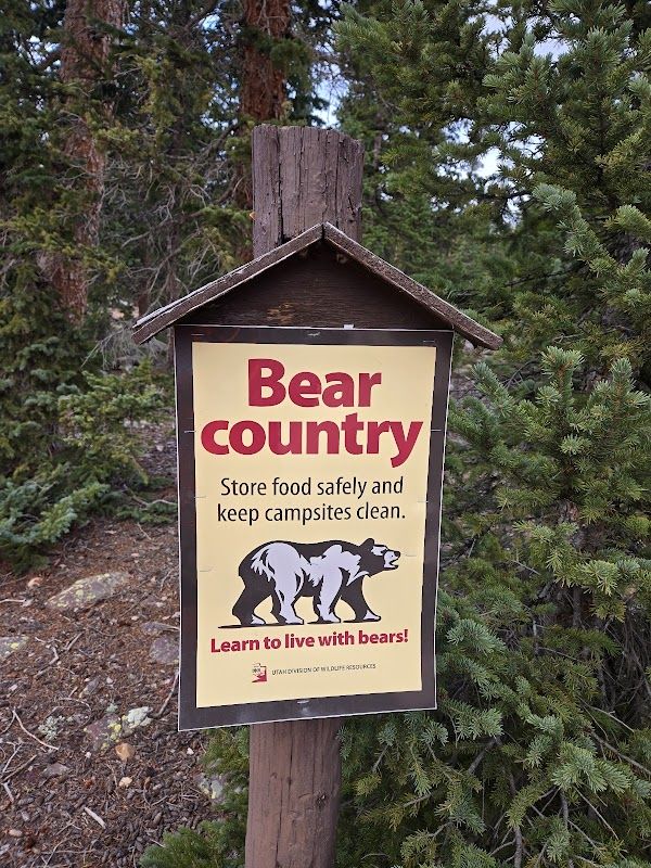 Pole Creek Lake Campground