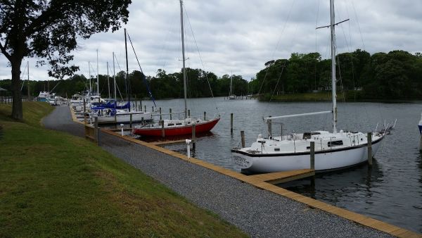 Buzzard Point Campground